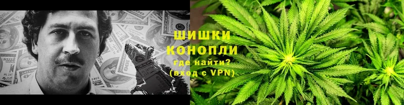 Каннабис THC 21%  Белёв 